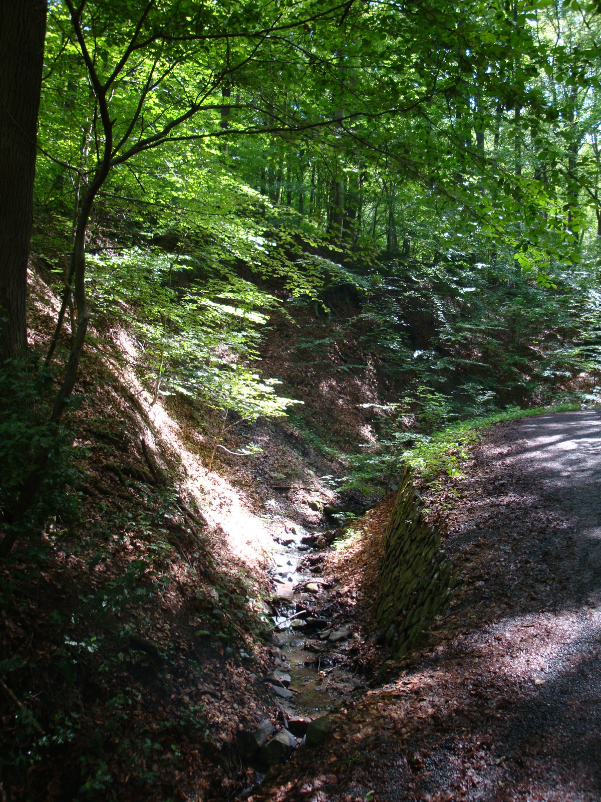 Drachenburg